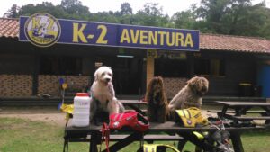 Se admiten perros en nuestras canoas para descender el sella