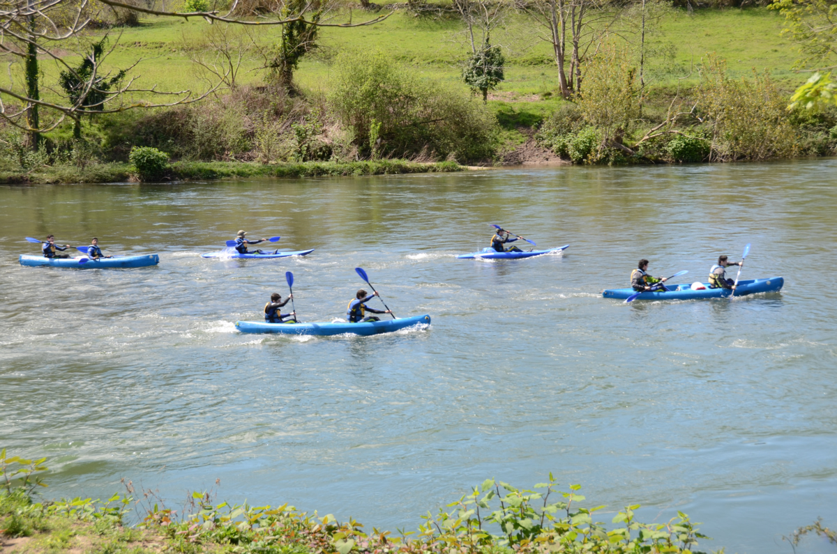 canoas en río