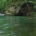 La pesca del salmón en el río Sella, Asturias