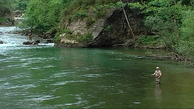 La pesca del salmón en el río Sella, Asturias