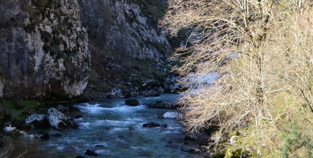 rutas otoño asturias