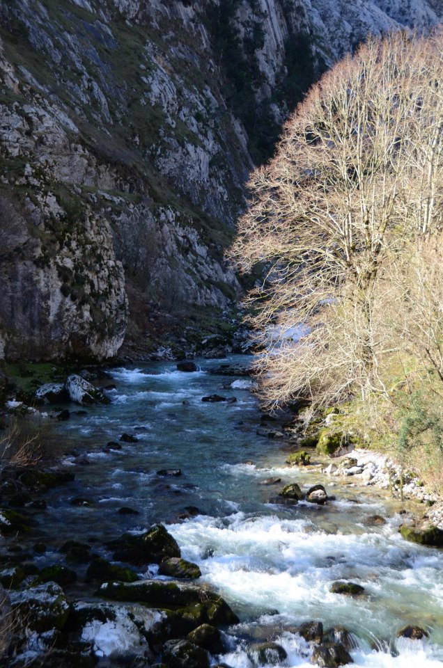 rutas otoño asturias