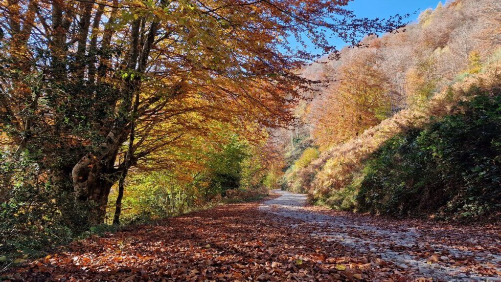 rutas otoño asturias