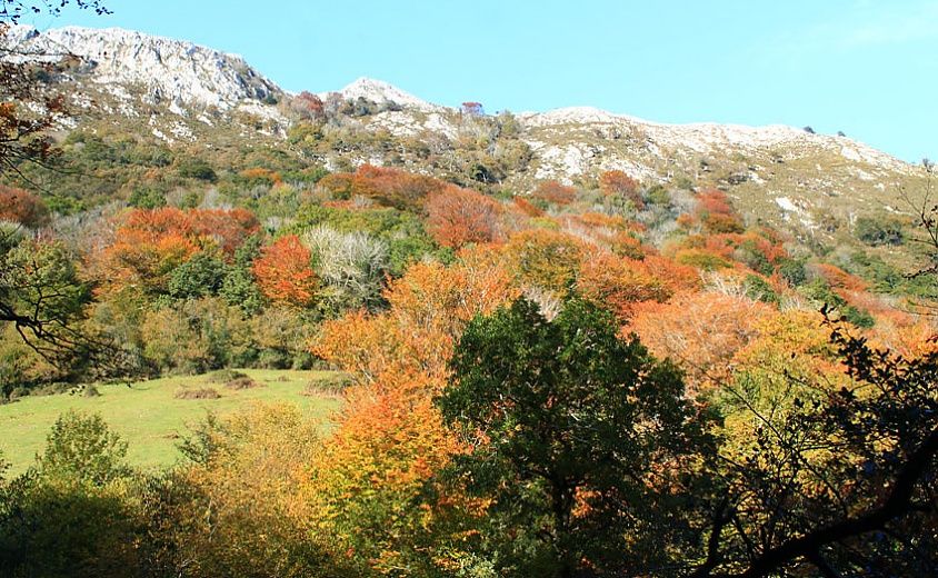 rutas otoño asturias